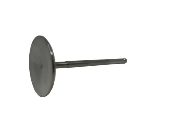 IMG_2812_720x Bb 45mm x 4.240" Titanium Valve